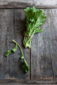 Cime di rapa