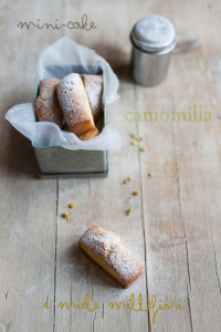 Cake alla camomilla e miele millefiori