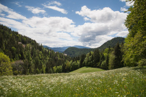 Val d'Ultimo
