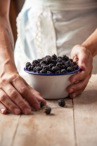 more-wild blackberries